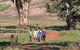 Yura Udnyu - Our Culture, Your Culture (Aboriginal Cultural Walk) - thumb 1