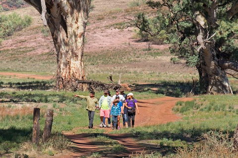 Yura Udnyu - Our Culture, Your Culture (Aboriginal Cultural Walk) - Hotel WA 1