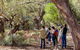 Yura Udnyu - Our Culture, Your Culture (Aboriginal Cultural Walk) - thumb 8