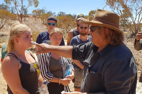10 Day Adelaide To Alice Springs Adventure - Hotel WA 9