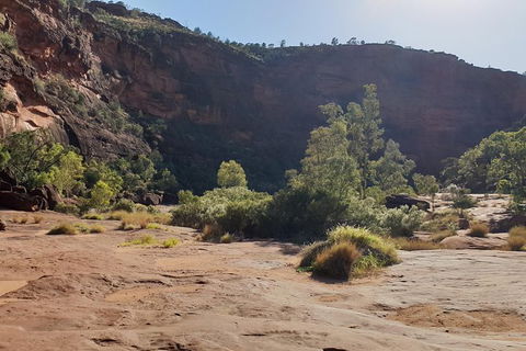 10 Day Adelaide To Alice Springs Adventure - Hotel WA 7