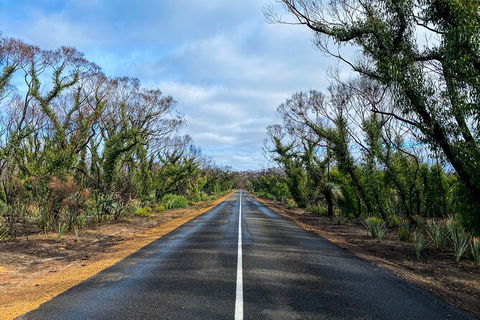 2 Day Ultimate Kangaroo Island With Return Ferry - Hotel WA 4
