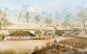Bungaree & Burra UnEarthed - thumb 8