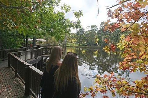 D\'Arenberg Cube / McLaren Vale Regional Tour - Hotel WA 7