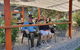 D\'Arenberg Cube / McLaren Vale Regional Tour - thumb 5