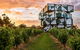D\'Arenberg Cube / McLaren Vale Regional Tour - thumb 0