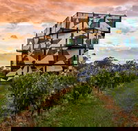 d'Arenberg Cube / McLaren Vale Regional Tour - Hotel WA