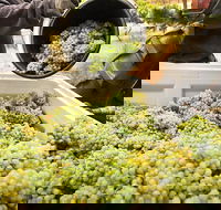 Adelaide Hills Wineries  Hahndorf - Hotel WA