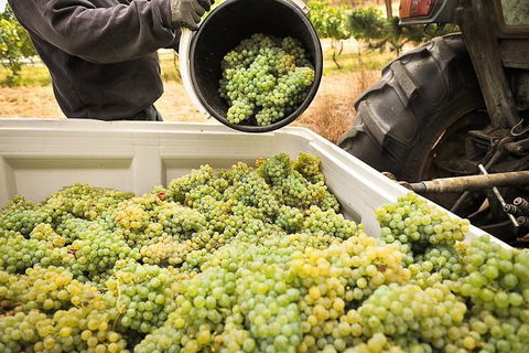 Adelaide Hills Wineries & Hahndorf - Hotel WA 0