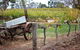 Maggie Beer Farm - Barossa Valley Regional Tour - thumb 6