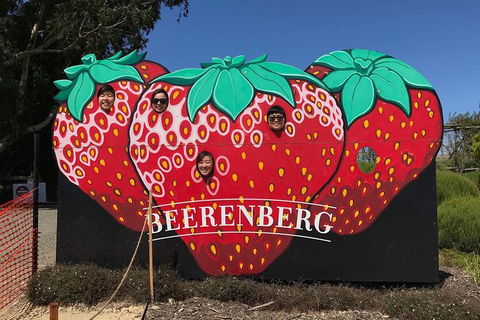 Adelaide Driving Tour - Hotel WA 1