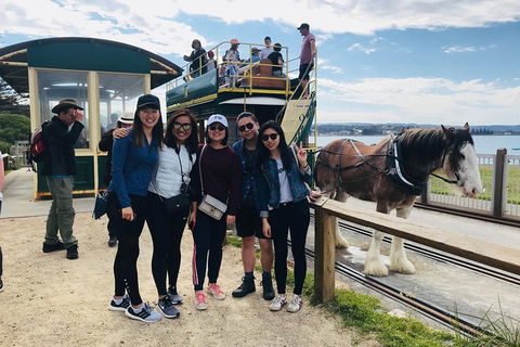 Adelaide Driving Tour - Hotel WA 3