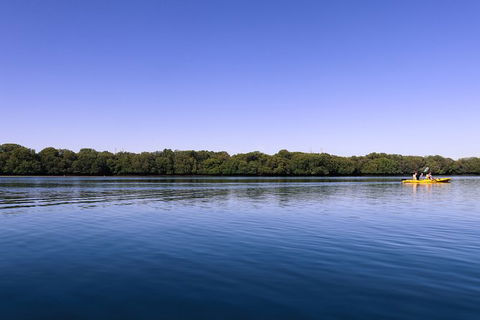 Dolphin Sanctuary Kayaking In Adelaide - Hotel WA 2