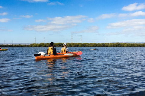 Dolphin Sanctuary Kayaking In Adelaide - Hotel WA 0