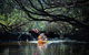 Dolphin Sanctuary Kayaking In Adelaide - thumb 4