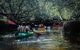Dolphin Sanctuary Kayaking In Adelaide - thumb 3
