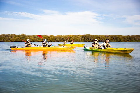 Dolphin Sanctuary Kayaking In Adelaide - Hotel WA 1