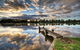 Small-Group River Murray Dark Sky And Sunset Tour With Dinner - thumb 5