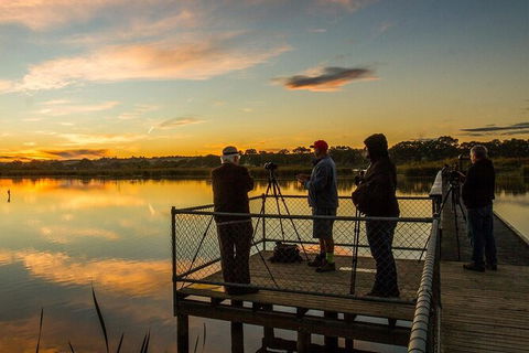 Small-Group River Murray Dark Sky And Sunset Tour With Dinner - Hotel WA 2