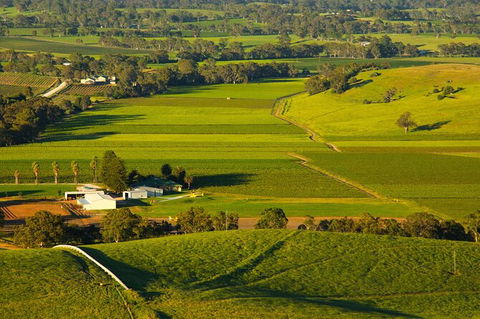 Full-Day Wine World Tour In Barossa - Hotel WA 3