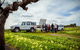 The Flagship Experience - Private Lunch And Wine Tasting In Barossa Valley - thumb 0