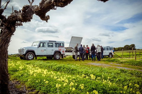The Flagship Experience - Private Lunch And Wine Tasting In Barossa Valley - Hotel WA 0