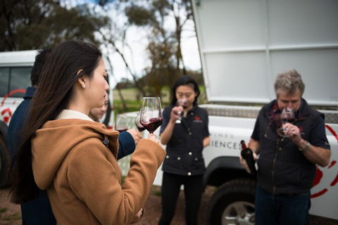 The Flagship Experience - Private Lunch And Wine Tasting In Barossa Valley - Hotel WA 1