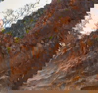 Sacred Canyon - Yura Mulka - Aboriginal Cultural Walk - Hotel WA