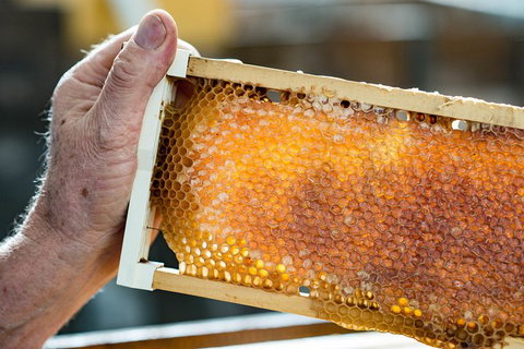 Fine Flavours - Full Day Kangaroo Island Food & Wine Tour - Hotel WA 0