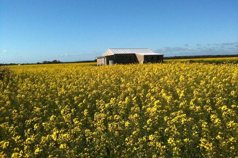 Fine Flavours - Full Day Kangaroo Island Food & Wine Tour - Hotel WA 11