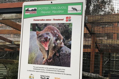 After Dark Tasmanian Devil Feeding Tour At Cradle Mountain - Hotel WA 2
