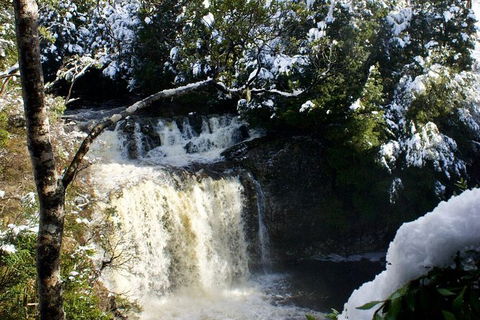 Cradle Mountain Park Explorer - Hotel WA 1