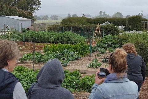 Unearthed Chefs Tour - Hotel WA 17