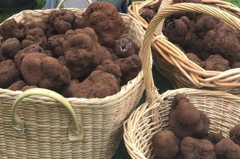 Unearthed Chefs Tour - Hotel WA 13