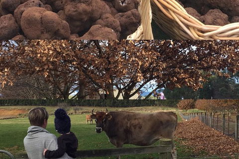 Unearthed Chefs Tour - Hotel WA 6