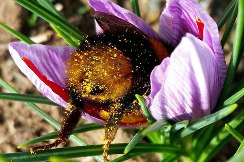 Unearthed Chefs Tour - Hotel WA 9