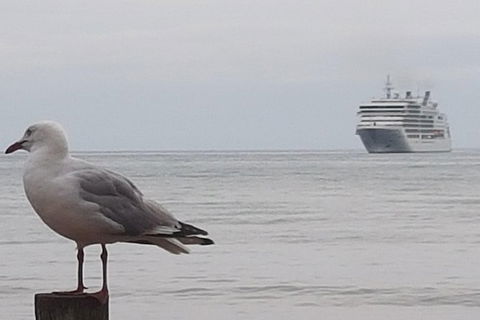 Cruise Ship Excursion: Stanley - Hotel WA 9