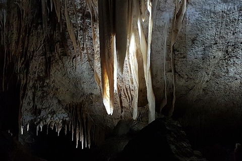 Shore Excursion: Coast, Caves And Wildlife Park - 8 Hour Tour - Hotel WA 10