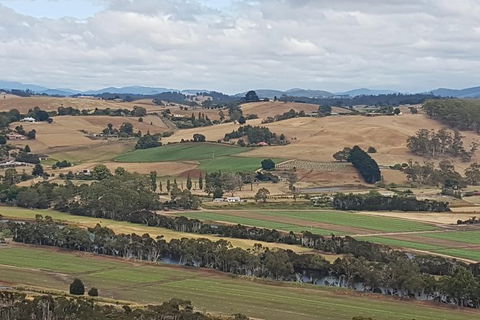 Shore Excursion: Coast, Caves And Wildlife Park - 8 Hour Tour - Hotel WA 4