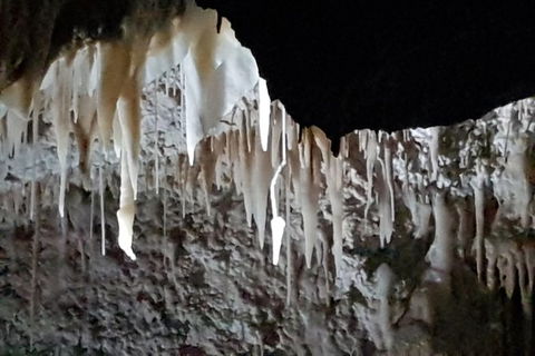 Shore Excursion: Coast, Caves And Wildlife Park - 8 Hour Tour - Hotel WA 21