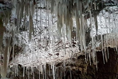 Shore Excursion: Coast, Caves And Wildlife Park - 8 Hour Tour - Hotel WA 15