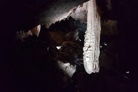 Shore Excursion: Coast, Caves And Wildlife Park - 8 Hour Tour - Hotel WA 12