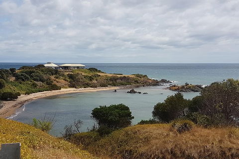 Shore Excursion: Coast, Caves And Wildlife Park - 8 Hour Tour - Hotel WA 0