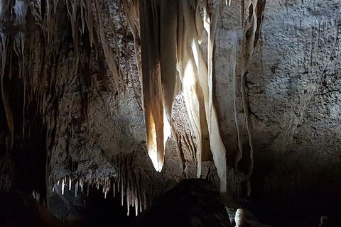 Shore Excursion: Coast, Caves And Wildlife Park - 8 Hour Tour - Hotel WA 7