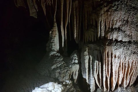 Shore Excursion: Coast, Caves And Wildlife Park - 8 Hour Tour - Hotel WA 8