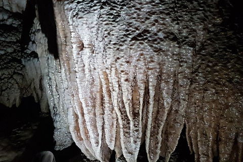 Shore Excursion: Coast, Caves And Wildlife Park - 8 Hour Tour - Hotel WA 13