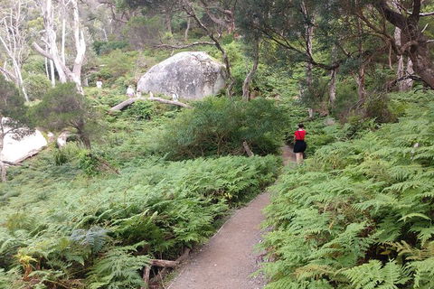 Wilsons Promontory Brainstorming Escape - Hotel WA 2