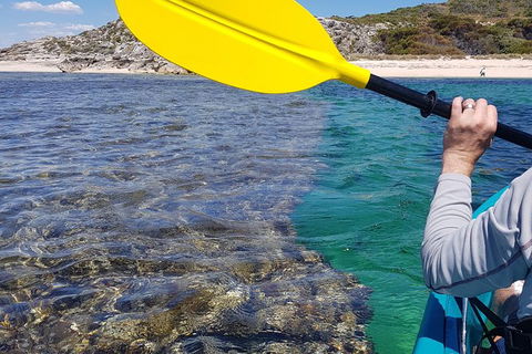 Rottnest Glass Bottom Kayaking Tour - Hotel WA 3