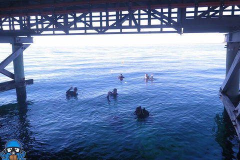 PADI Open Water Course - Hotel WA 3