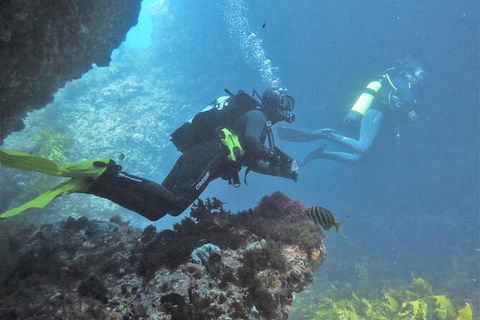 PADI Open Water Course - Hotel WA 2